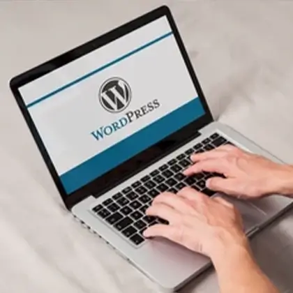 Wordpress-Web-Design-Gold Coast